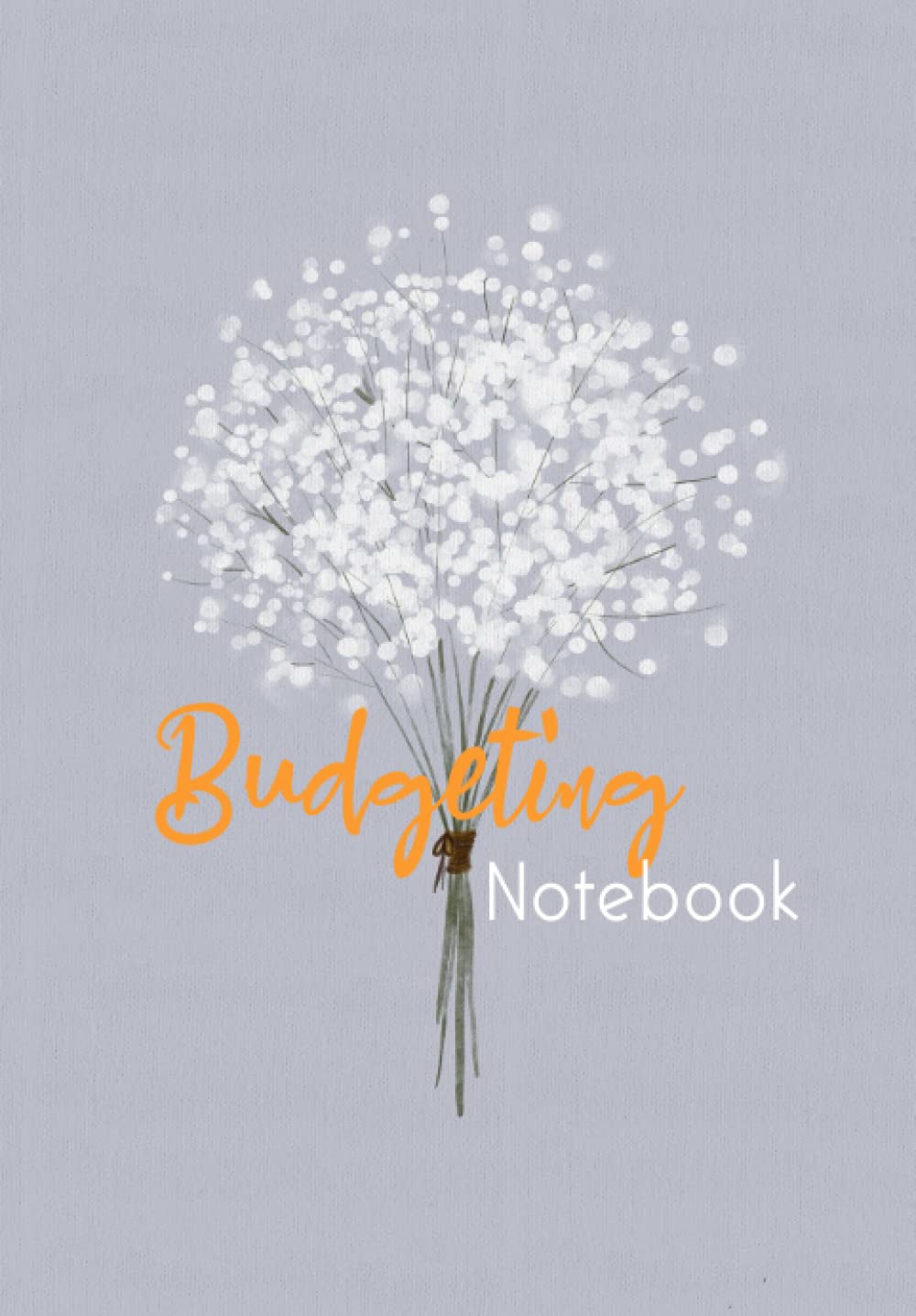 BUDGETING NOTEBOOK: Monthly Finance Organizer with Expense Tracker Notebook to Manage Your Money Effectively. baixar livro de graça