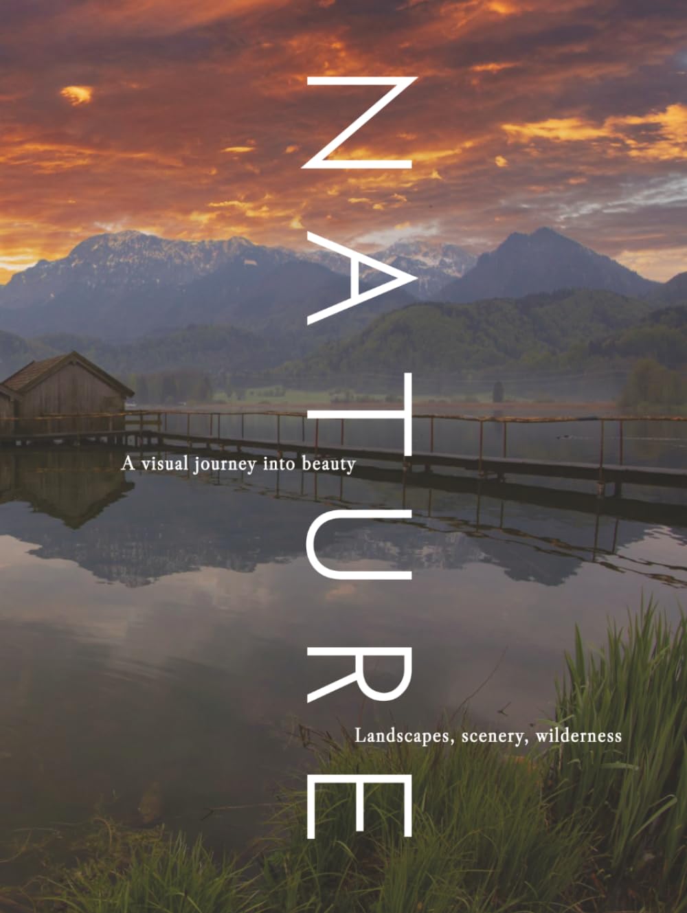 capítulo por capítulo baixar NATURE: A visual journey into beauty (THE COFFEE TABLE BOOKS)