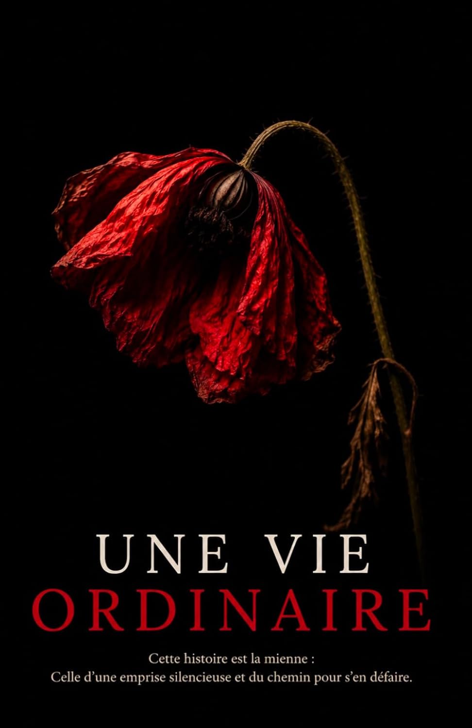 Une vie ordinaire (French Edition) baixar o livro de graça