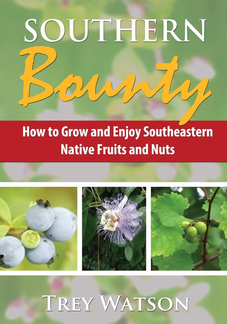 ler totalmente Southern Bounty: How to Grow and Enjoy Southeastern Native Fruits and Nuts