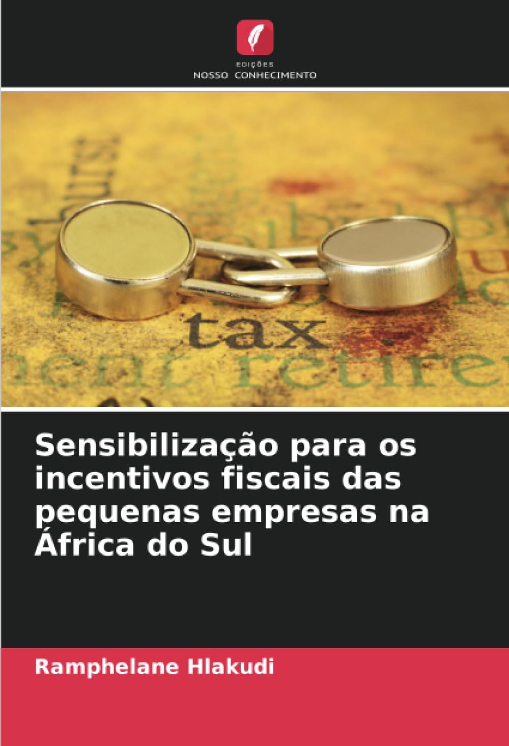 Sensibilização para os incentivos fiscais das pequenas empresas na África do Sul (Portuguese Edition) baixar livro de graça