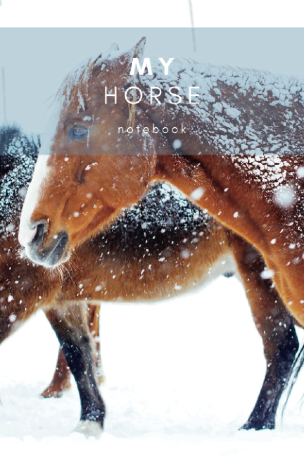 My Horse Notebook: A beautiful tracker for horse health and training | Nutrition, fitness and exercise diary for the horse | Stable management journal baixar livro de graça