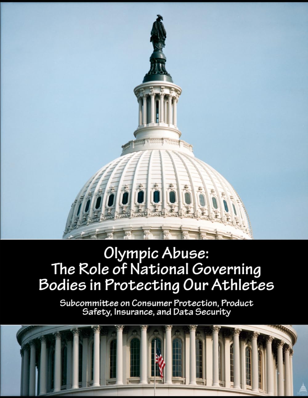 Olympic Abuse: The Role of National Governing Bodies in Protecting Our Athletes baixar livro de graça