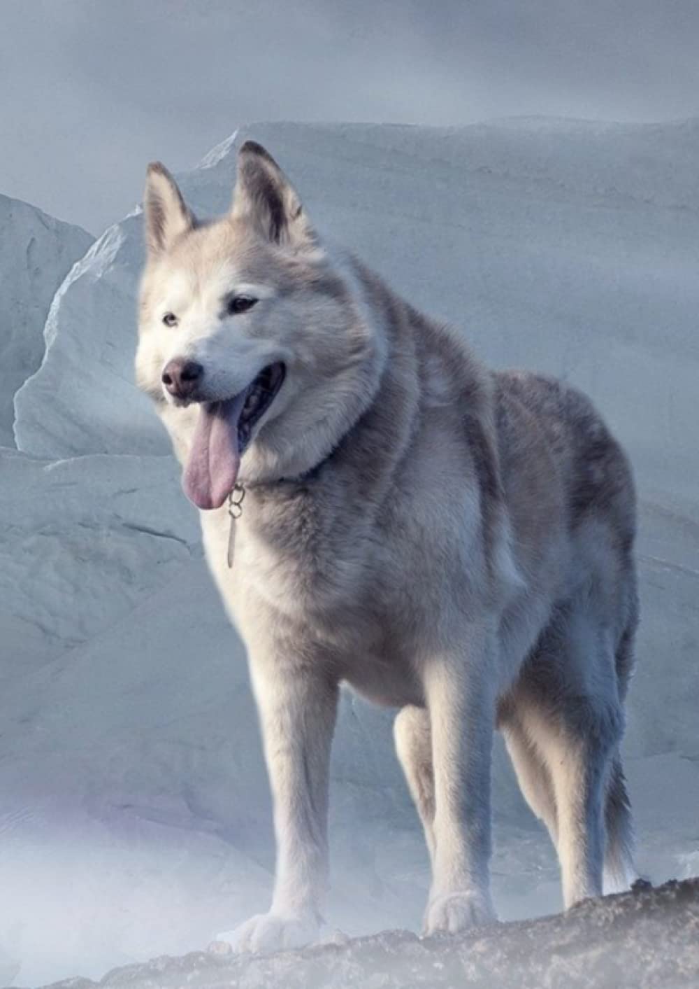 capítulo por capítulo baixar Quaderno Puntinato 110 Pagine Formato A4 (29,7cm x 21 cm) con copertina Cane Siberian Husky Neve Montagna e interno griglia a puntini: Semplice... calligrafia, creare diario (Italian Edition)