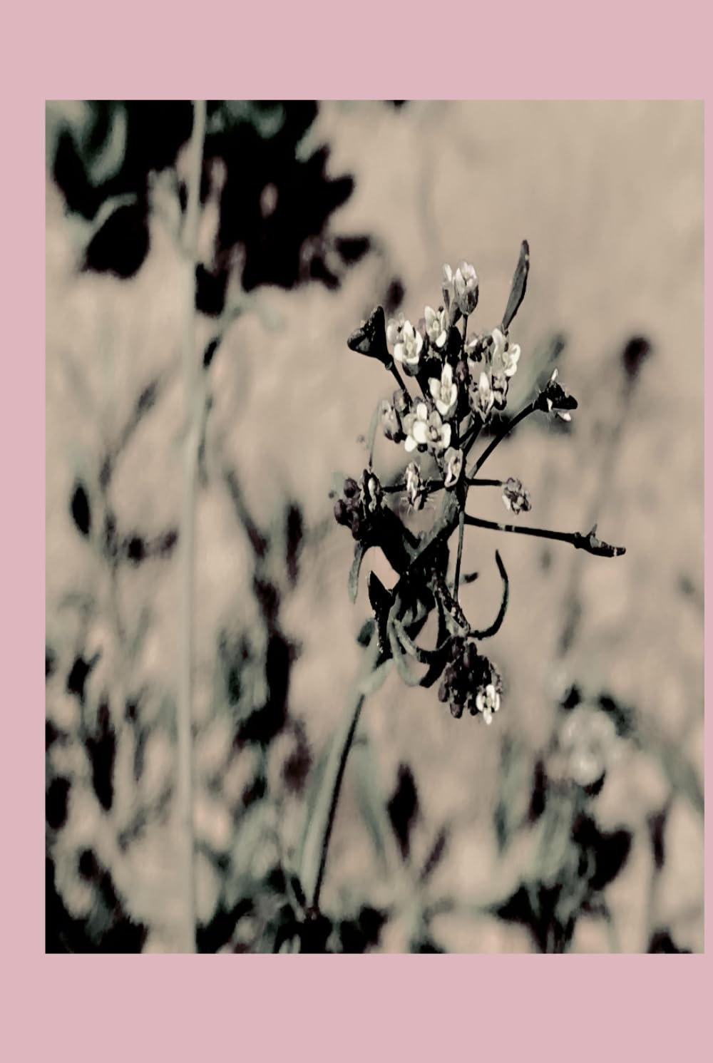 ler totalmente Pink Arizona Floral Blank Lined Notebook for Ideas