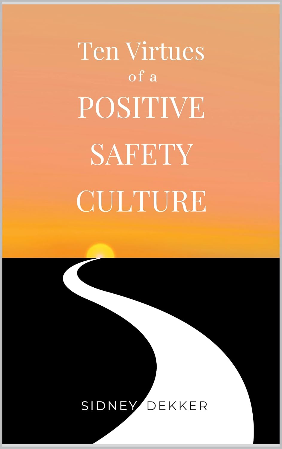 Ten Virtues of a Positive Safety Culture (English Edition) baixar o livro de graça