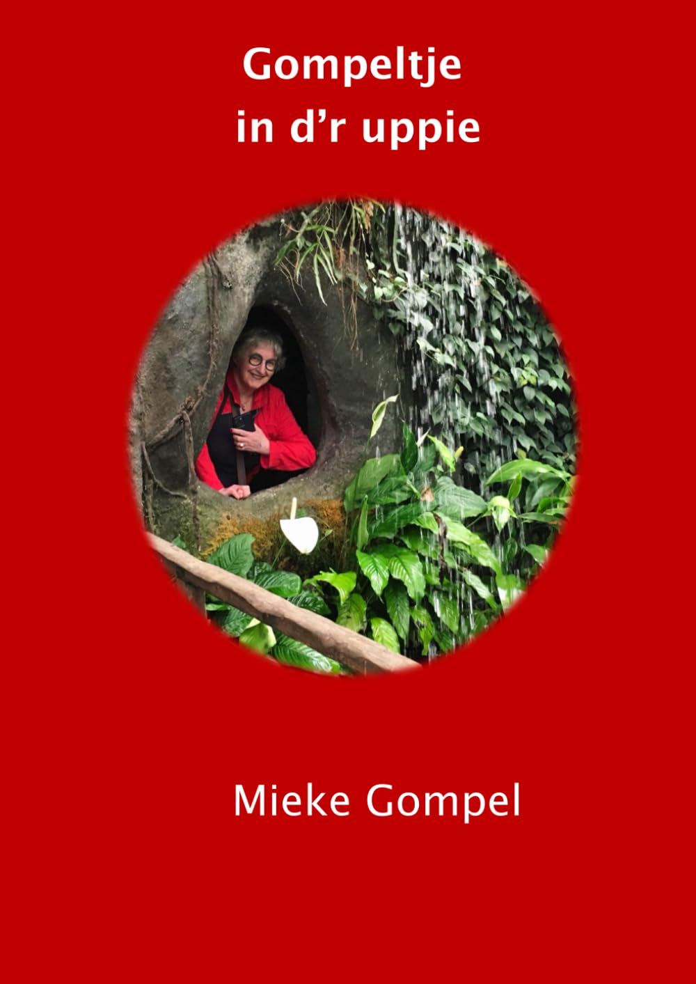 ler totalmente Gompeltje in d'r uppie (De Gompeltjes) (Dutch Edition)