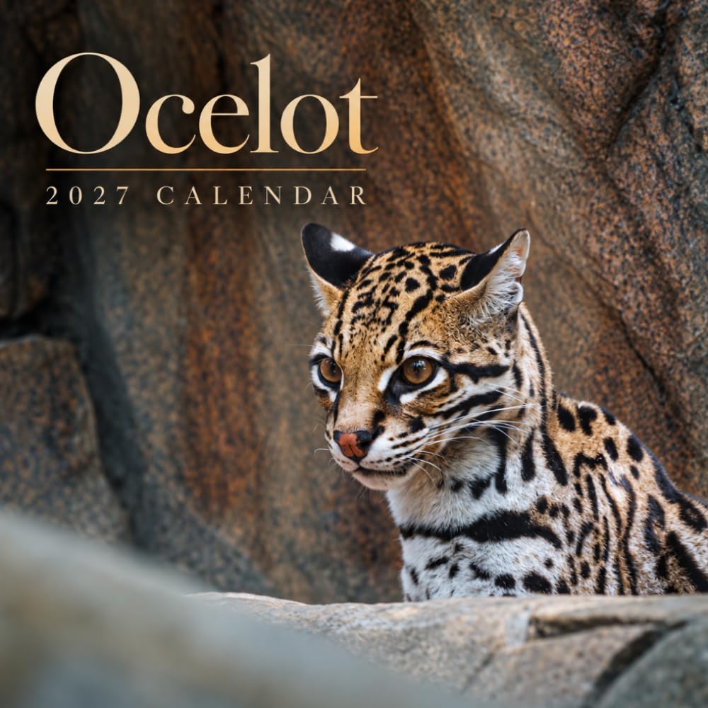 Ocelot Calendar 2027: Feline Wildlife Photography