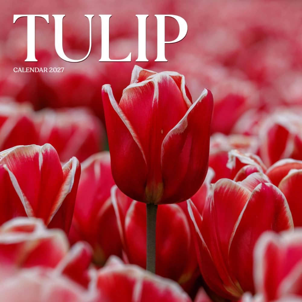 Tulip Calendar 2027: Spring Flowers and Garden Scenes