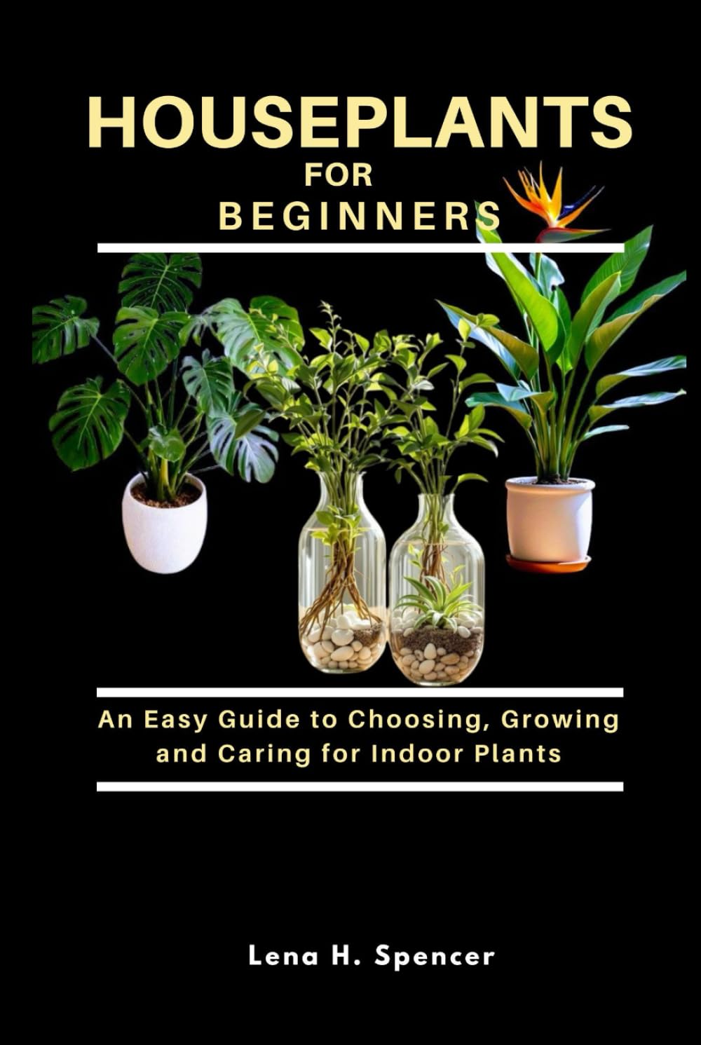 HOUSEPLANTS FOR BEGINNERS: An Easy Guide to Choosing, Growing, and Caring for Indoor Plants baixar livro de graça