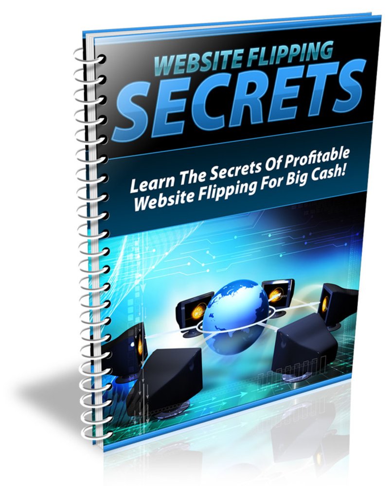 Website Flipping For Pure Profits (English Edition) baixar livro de graça