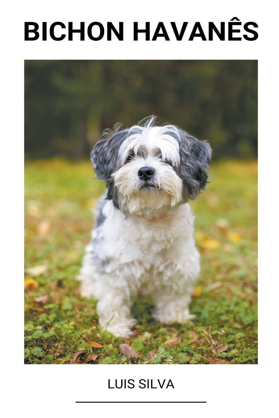 ler totalmente Bichon Havanês