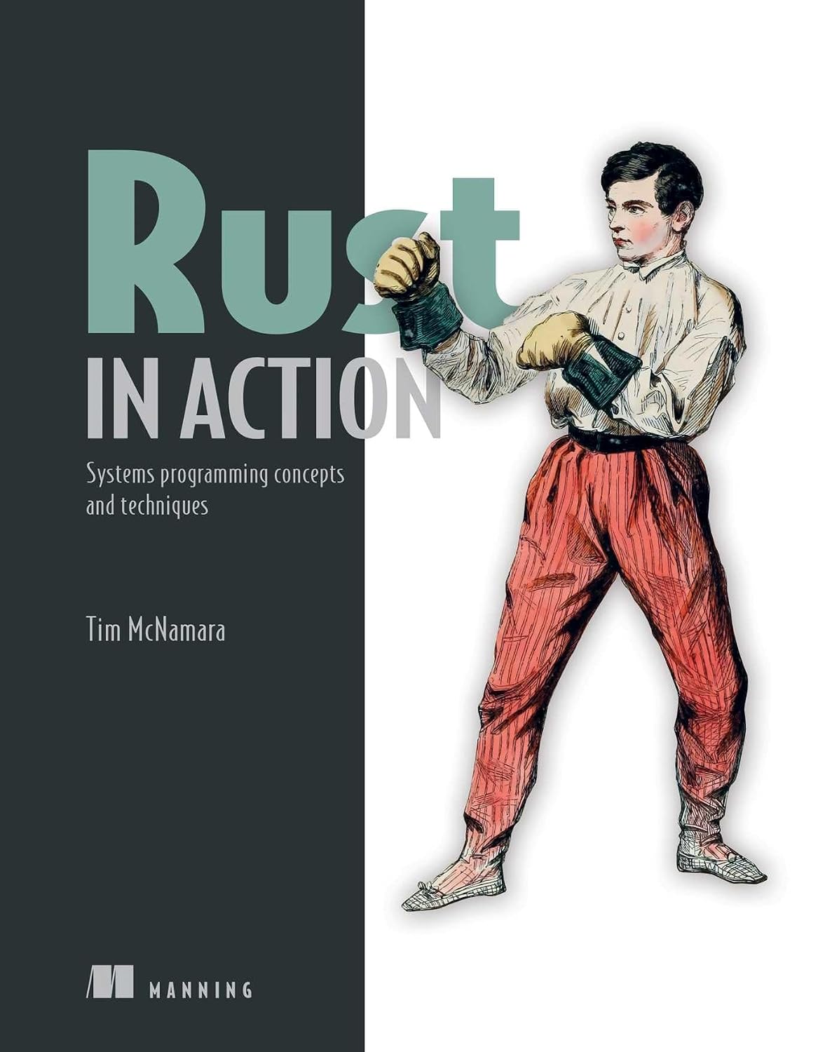 capítulo por capítulo baixar Rust in Action