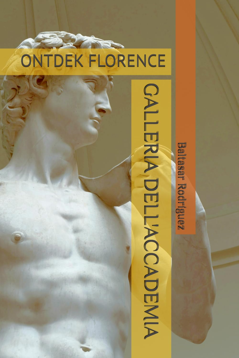 Galleria Dell'accademia: Ontdek Florence baixar o livro de graça
