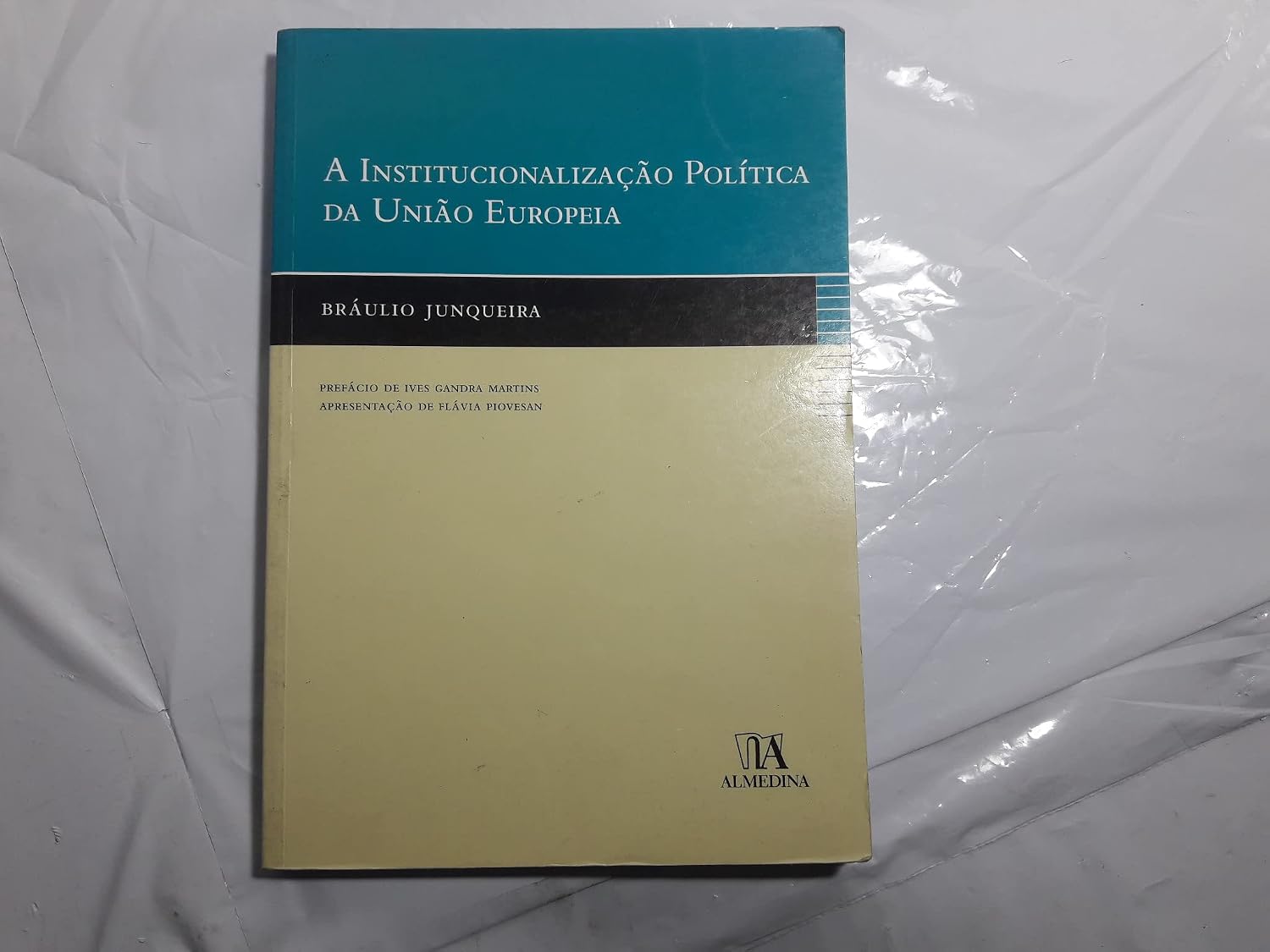 A Institucionalização Política da União Europeia baixar o livro de graça