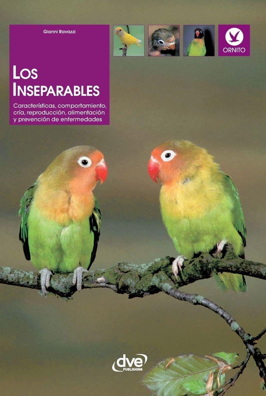 capítulo por capítulo baixar Los inseparables: Características, comportamiento, cría, reproducción, alimentación y prevención de enfermedades