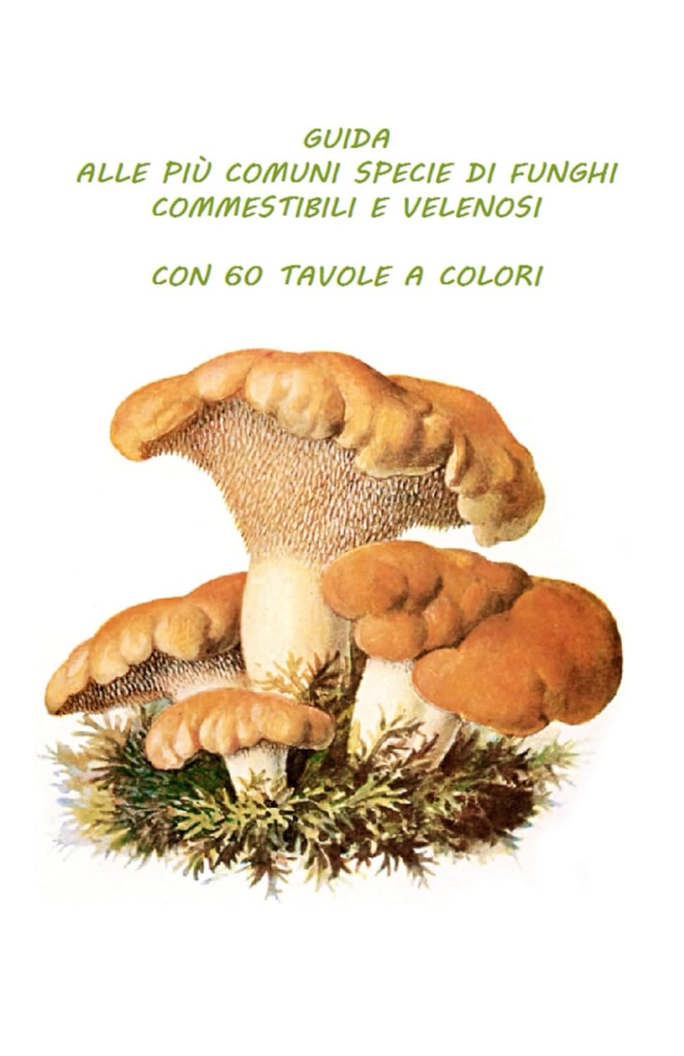 capítulo por capítulo baixar GUIDA ALLE PIÙ COMUNI SPECIE DI FUNGHI COMMESTIBILI E VELENOSI: SCHEDE MONOGRAFICHE DALLE OPERE DI ANTONIO ALBERTI E GIACOMO BRESADOLA, CON 60 TAVOLE A COLORI