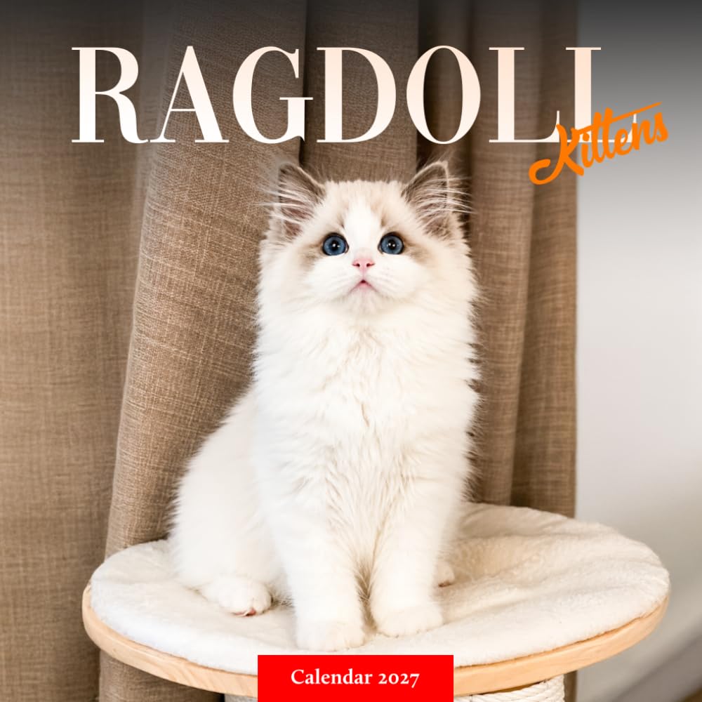 Ragdoll Kittens Calendar 2027: Young Cat Photography baixar livro de graça