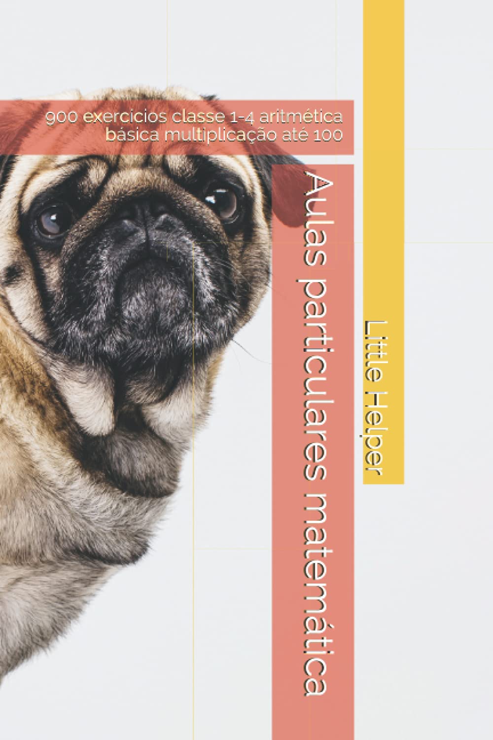 Aulas particulares matemática: 900 exercícios classe 1-4 aritmética básica multiplicação até 100 (Portuguese Edition)