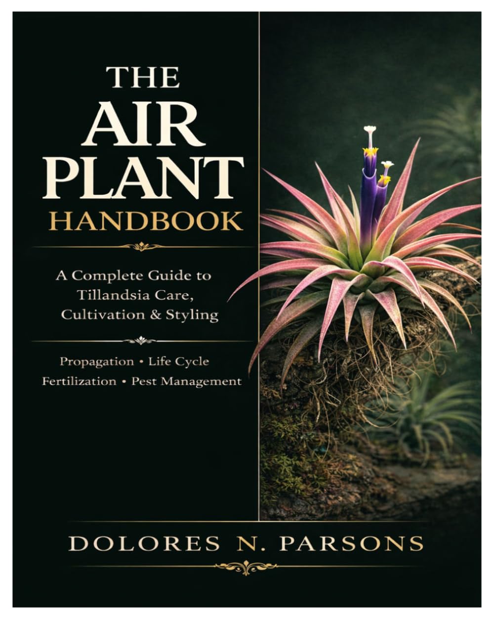 ler totalmente The Air Plant Handbook: A Complete Guide to Tillandsia Care, Cultivation, and Styling Including Step-By-Step Techniques on Propagation, Life Cycle, Fertilization, and Pest Management