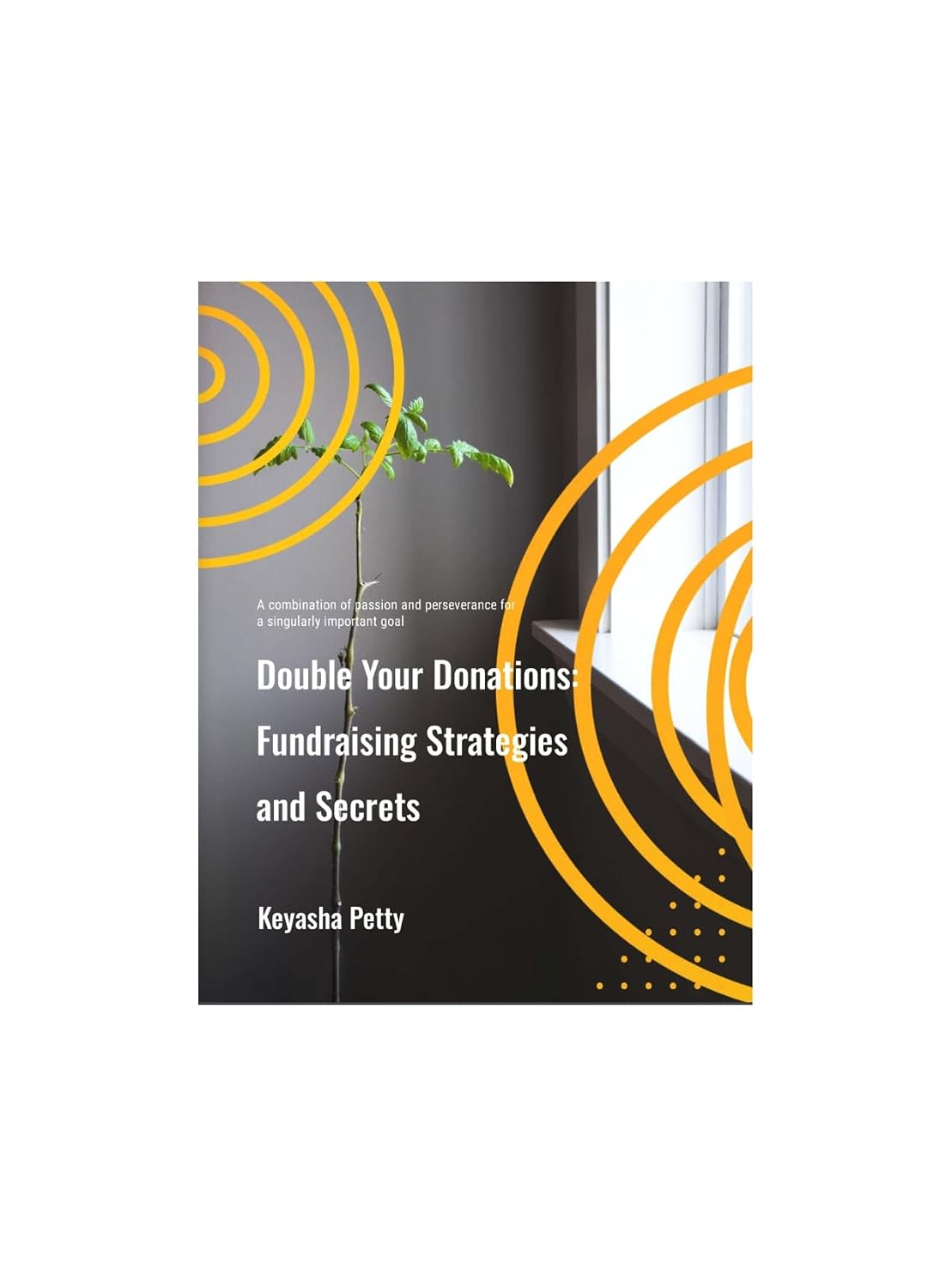 Double Your Donations: Fundraising Strategies and Secrets (English Edition) baixar livro de graça