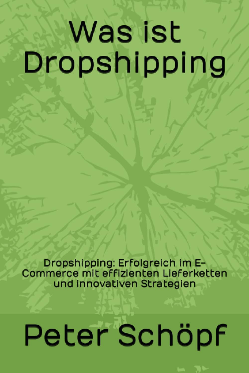 capítulo por capítulo baixar Was ist Dropshipping: Dropshipping: Erfolgreich im E-Commerce mit effizienten Lieferketten und innovativen Strategien (German Edition)