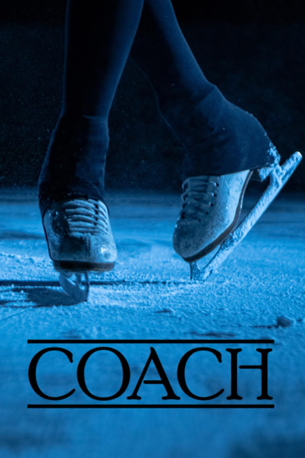 capítulo por capítulo baixar Journal: Figure Skating Coach