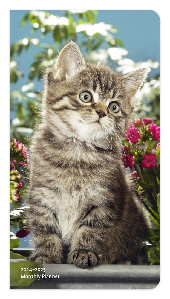 capítulo por capítulo baixar Kitten Cuddles | 2024-2025 3.5 x 6.5 Inch Two Year Monthly Pocket Planner | BrownTrout | Animals Cute Cat Feline