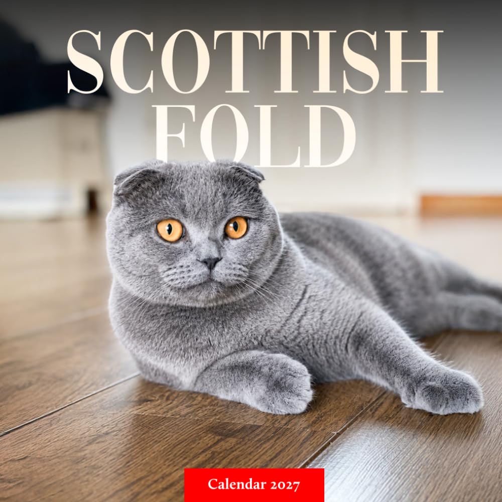 Scottish Fold Cats Calendar 2027: Distinctive Cat Photography baixar livro de graça