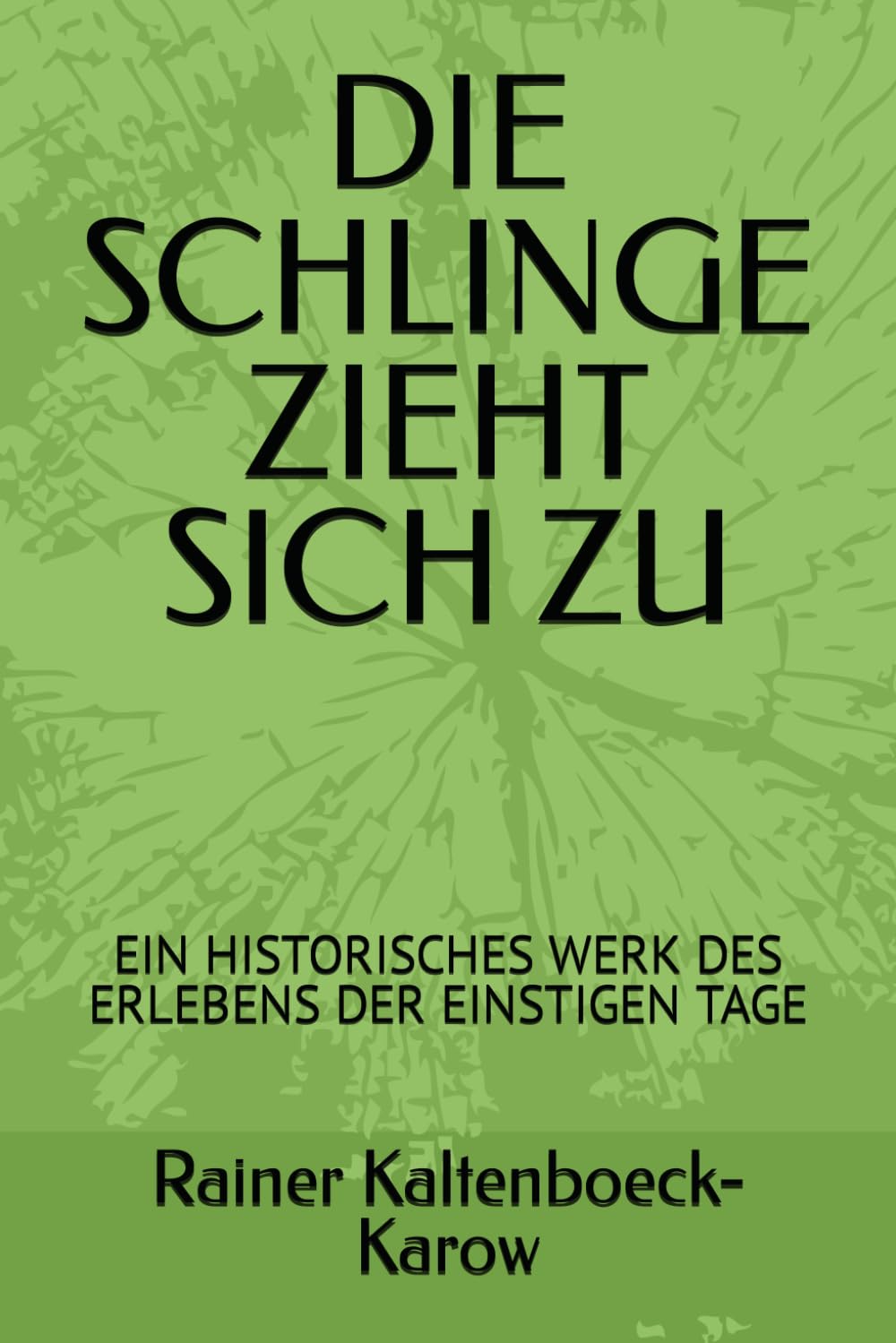 ler totalmente DIE SCHLINGE ZIEHT SICH ZU: EIN HISTORISCHES WERK DES ERLEBENS DER EINSTIGEN TAGE (German Edition)