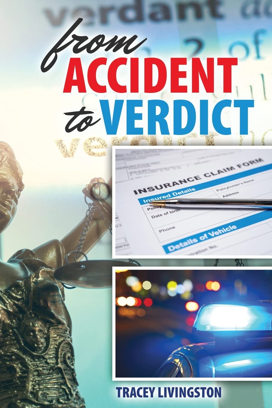 From Accident to Verdict, Preliminary Edition baixar livro de graça
