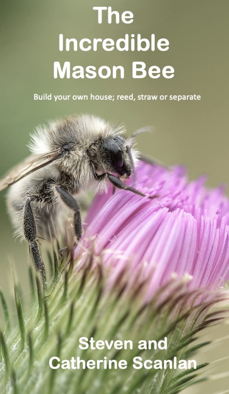 ler totalmente The Incredible Mason Bee