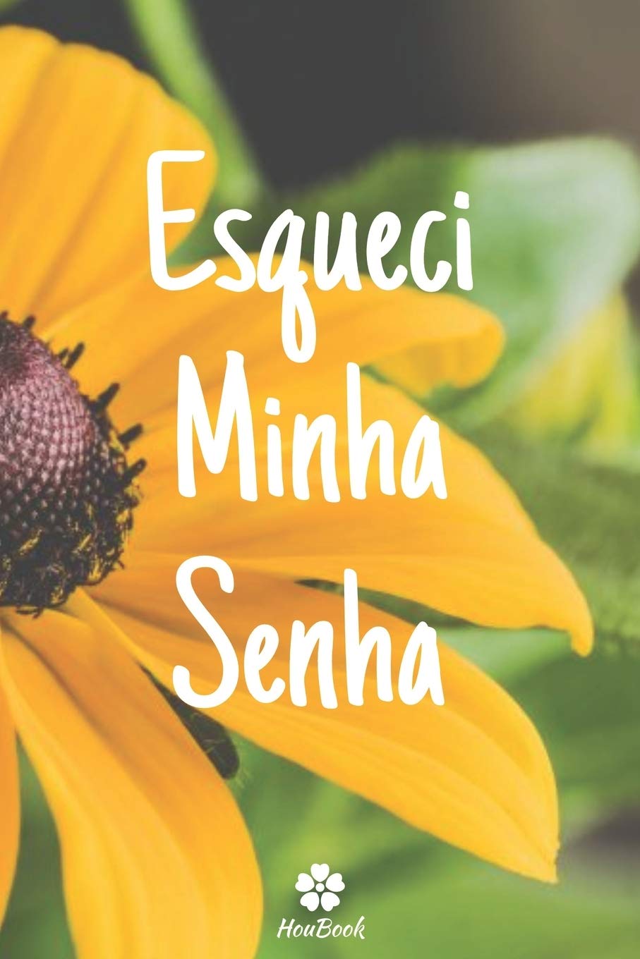 Esqueci Minha Senha: Um notebook perfeito para proteger todos os seus nomes de usuário e senhas baixar livro de graça