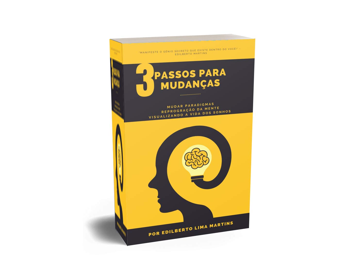 3 Passos Para Mudanças: MUDANÇAS DE PARADIGMAS, REPROGRAMAÇÃO SUBCONSCIENTE, EXERCÍCIO AVANÇADO DE VISUALIZAÇÃO baixar livro de graça
