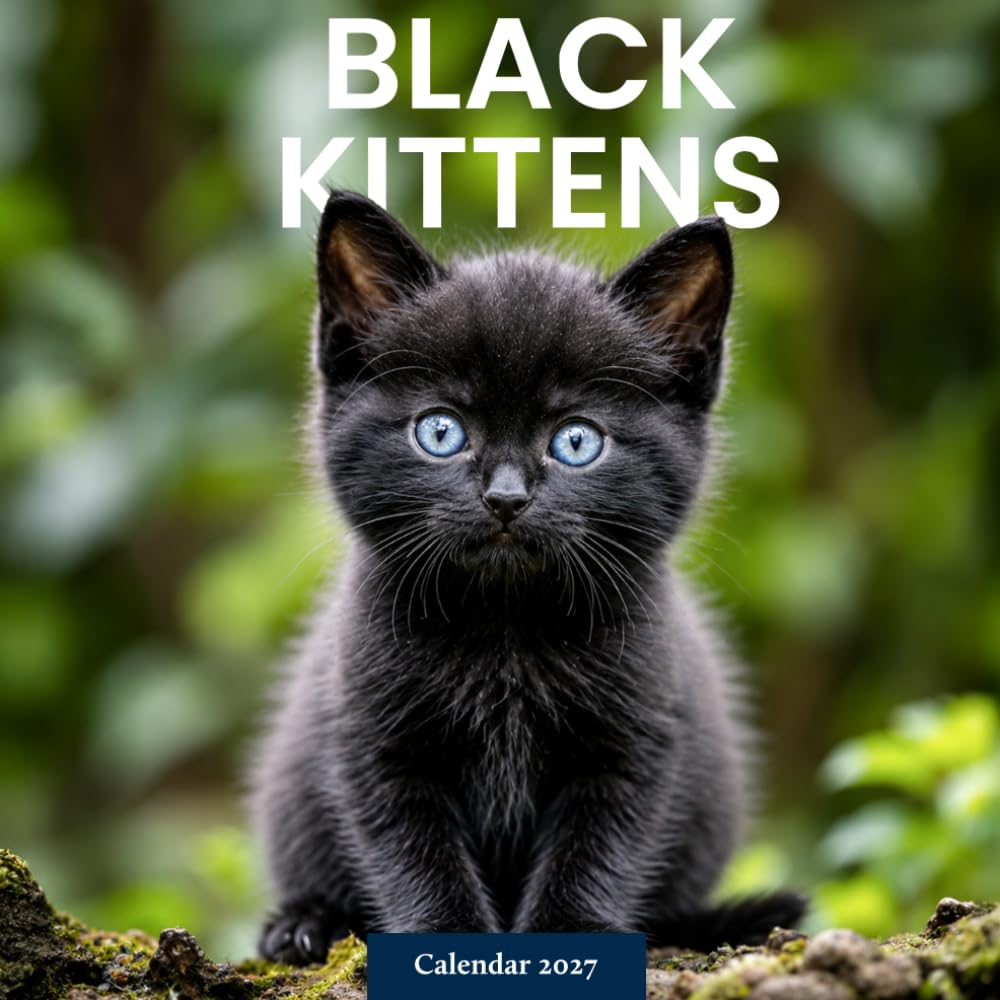 Black Kittens Calendar 2027: Playful Kitten Photography baixar livro de graça