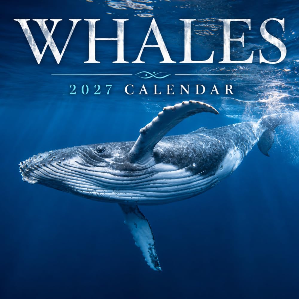 Whales Calendar 2027: Ocean Wildlife Photography baixar o livro de graça