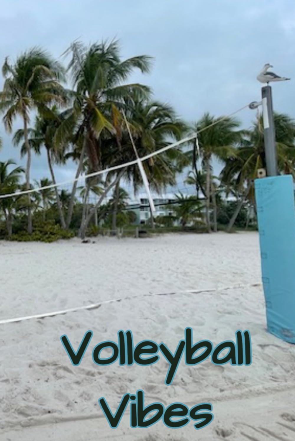 Volleyball Vibes: A Volleyball Themed Journal | Dot Grid | 120 pages | Watermarked volleyballs on every page