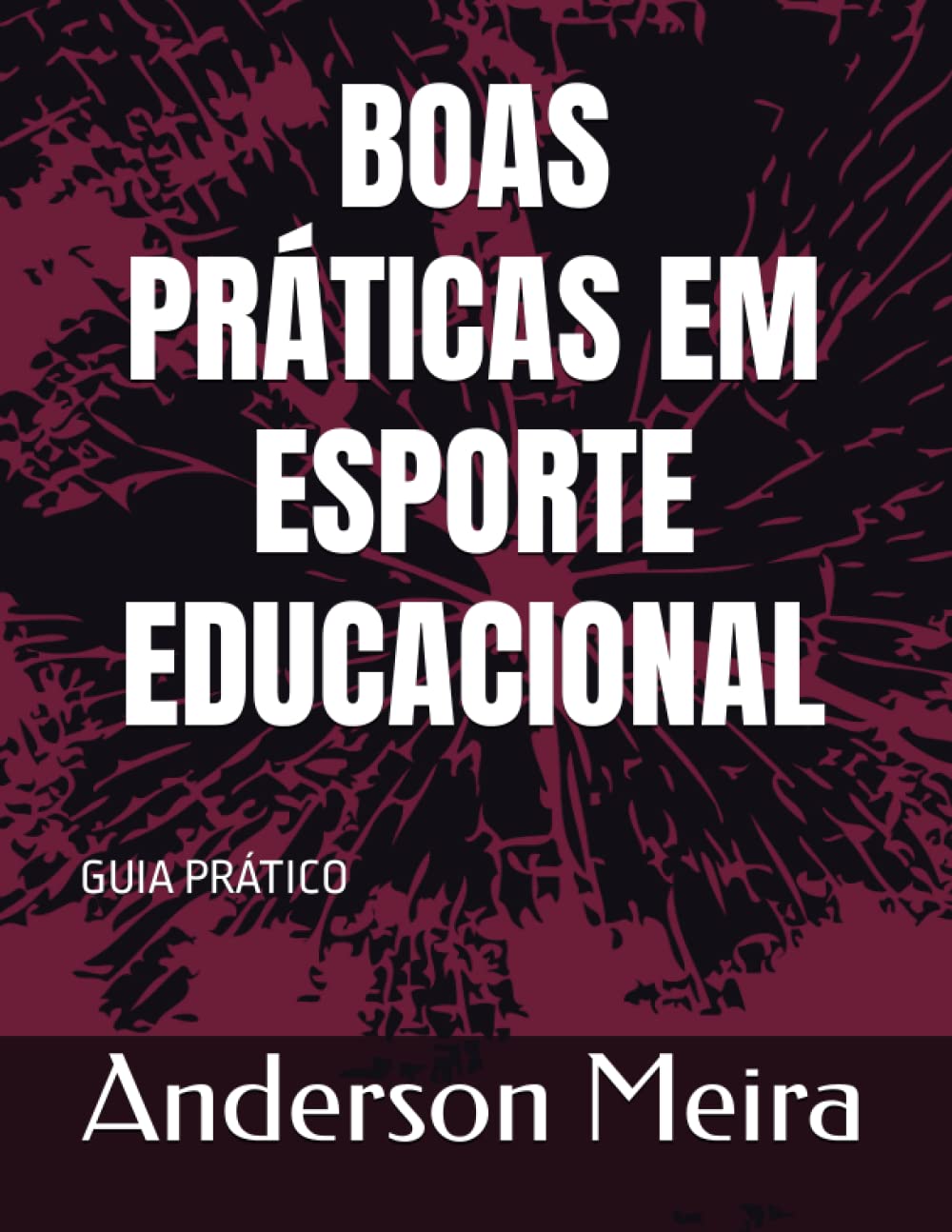 BOAS PRÁTICAS EM ESPORTE EDUCACIONAL: GUIA PRÁTICO (Portuguese Edition) baixar livro de graça