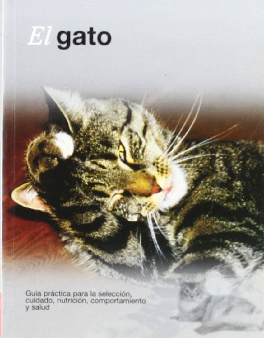 El gato baixar o livro de graça