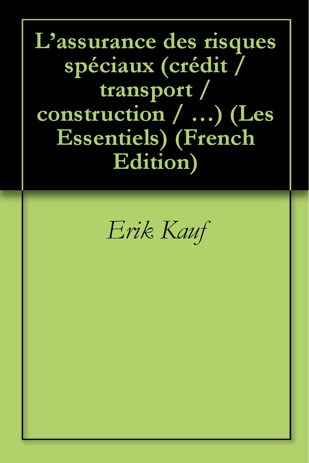 L’assurance des risques spéciaux (crédit / transport / construction / …) (Les Essentiels t. 7) (French Edition) baixar livro de graça