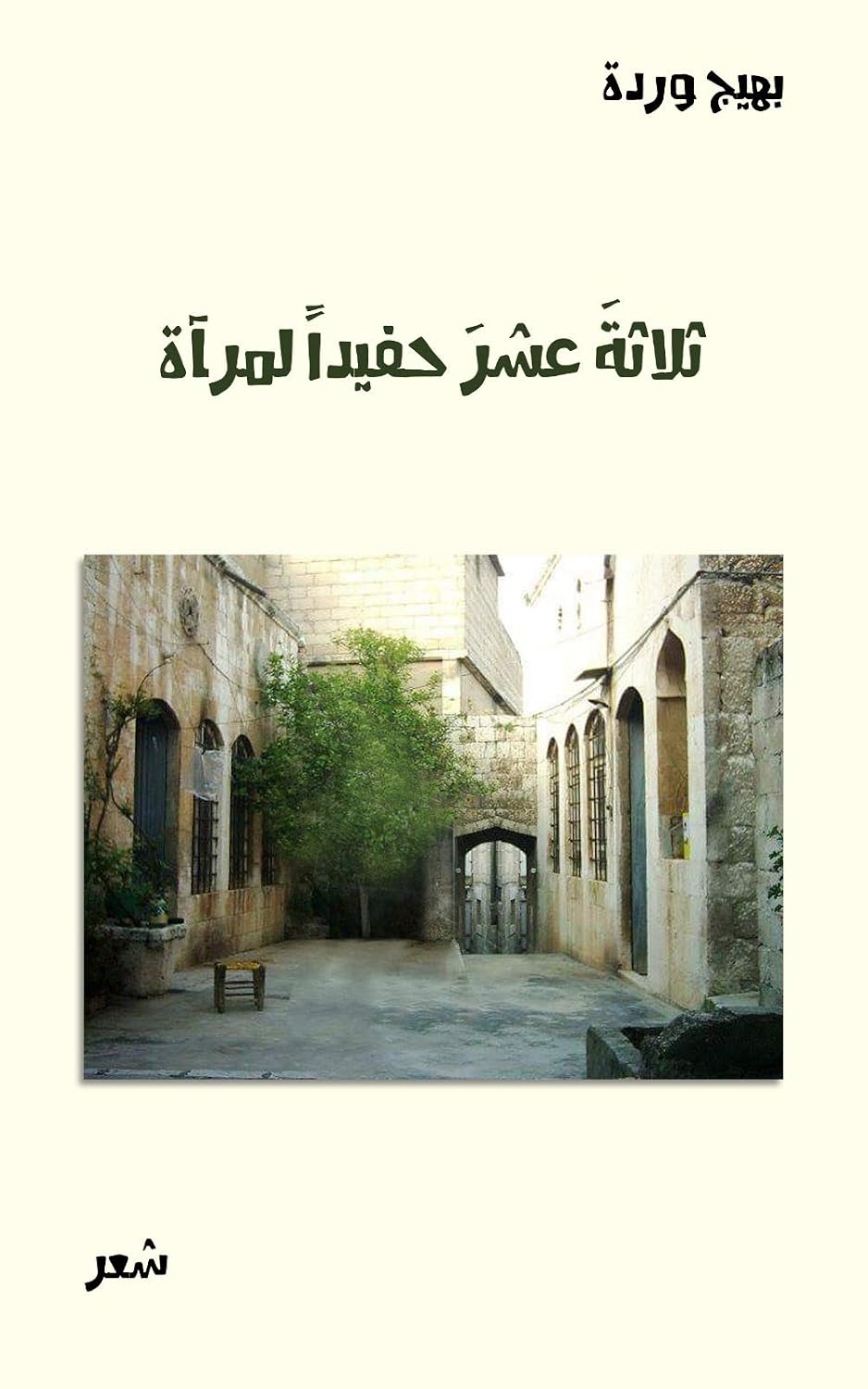 ثلاثةَ عشرَ حفيداً لمرآة (Arabic Edition) baixar o livro de graça