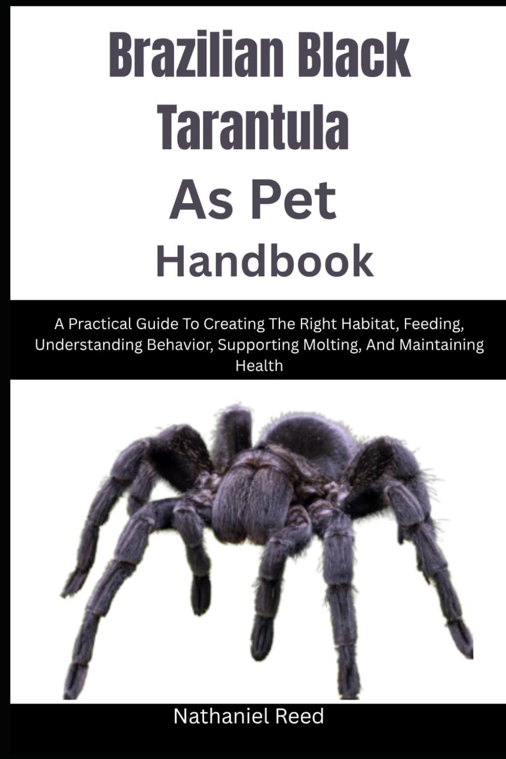 Brazilian Black Tarantula As Pet Handbook: A Practical Guide To Creating The Right Habitat, Feeding, Understanding Behavior, Supporting Molting, And Maintaining Health