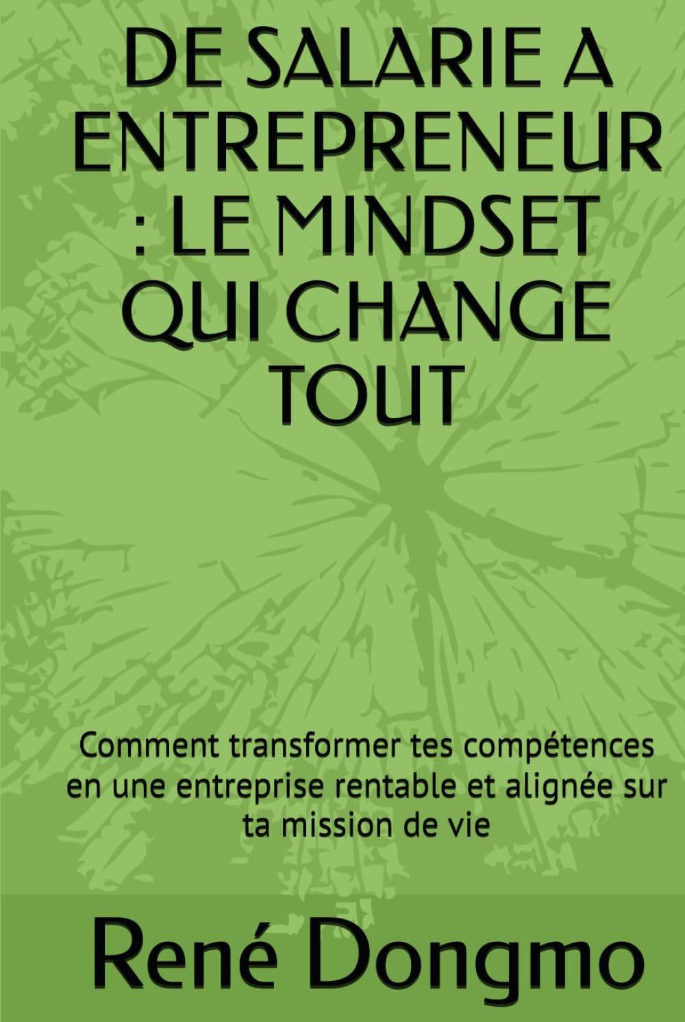DE SALARIE A ENTREPRENEUR: LE MINDSET QUI CHANGE TOUT: Comment transformer tes compétences en une entreprise rentable et alignée sur ta mission de vie (French Edition) baixar livro de graça