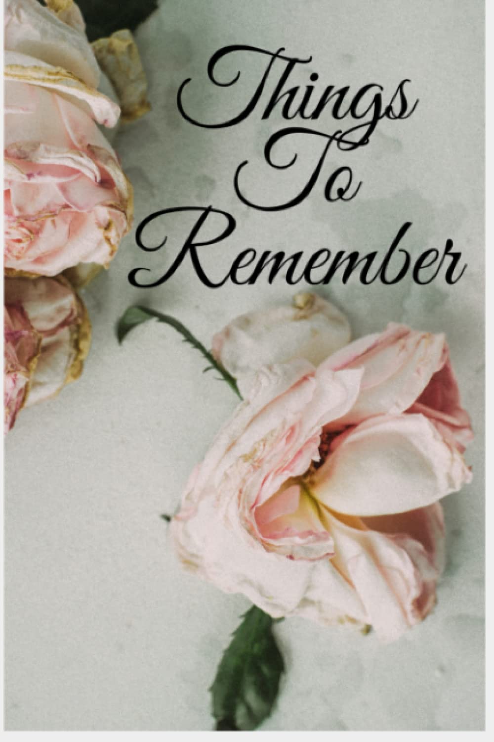 ler totalmente Things to Remember: Notebook