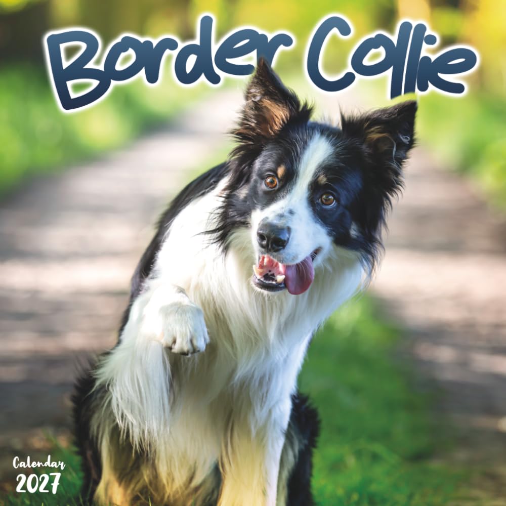 ler totalmente Border Collie 2027 Calendar: 12 Months of the World's Premier Herding Dog
