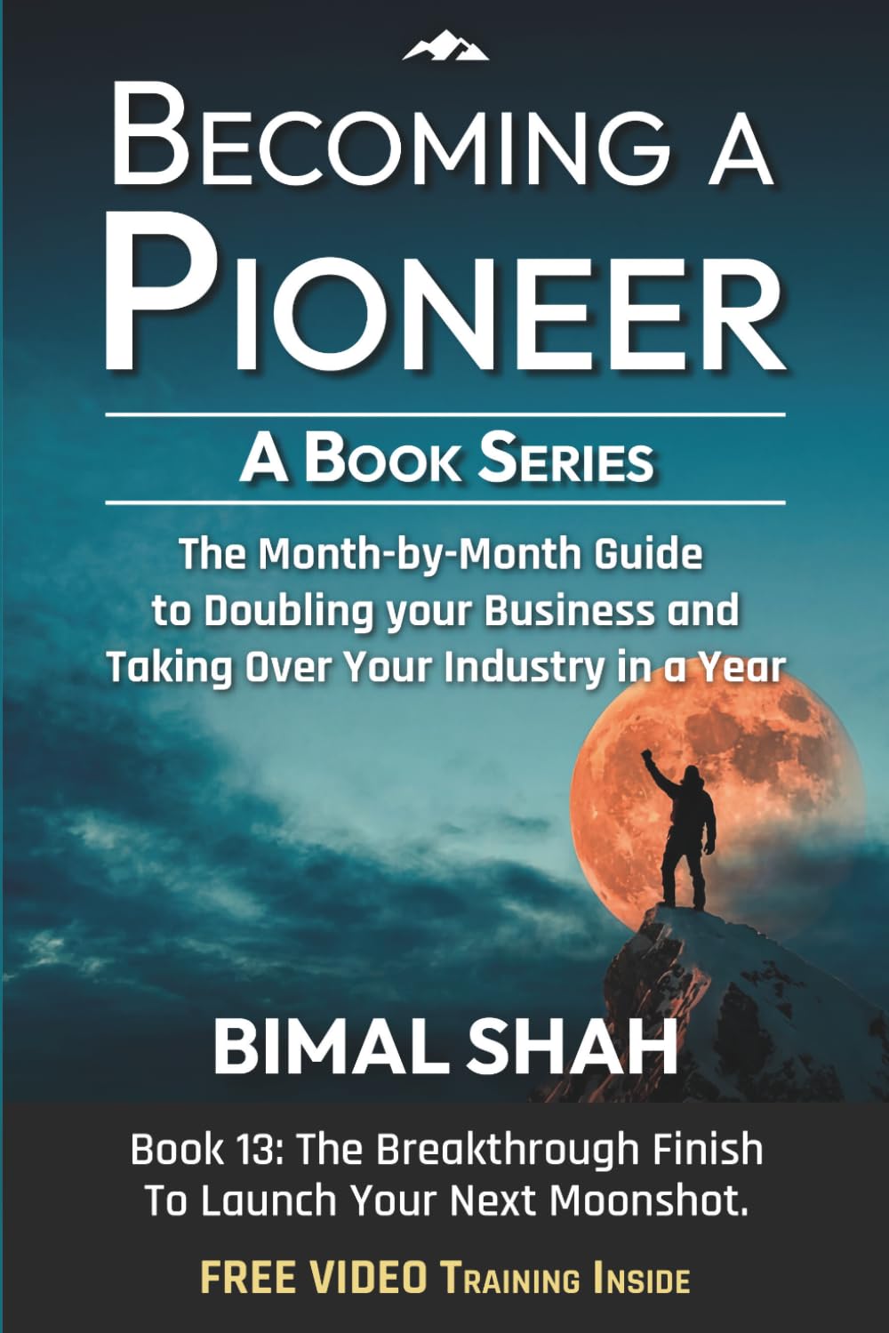 Becoming a Pioneer- A Book Series: The Month-by-Month Guide to Doubling Your Business and Taking Over Your Industry In A Year-Book 13 baixar livro de graça
