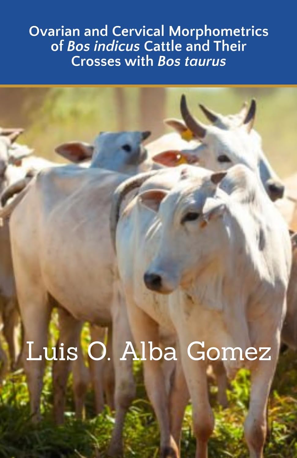 capítulo por capítulo baixar Ovarian and Cervical Morphometrics of Bos indicus Cattle and Their Crosses with Bos taurus