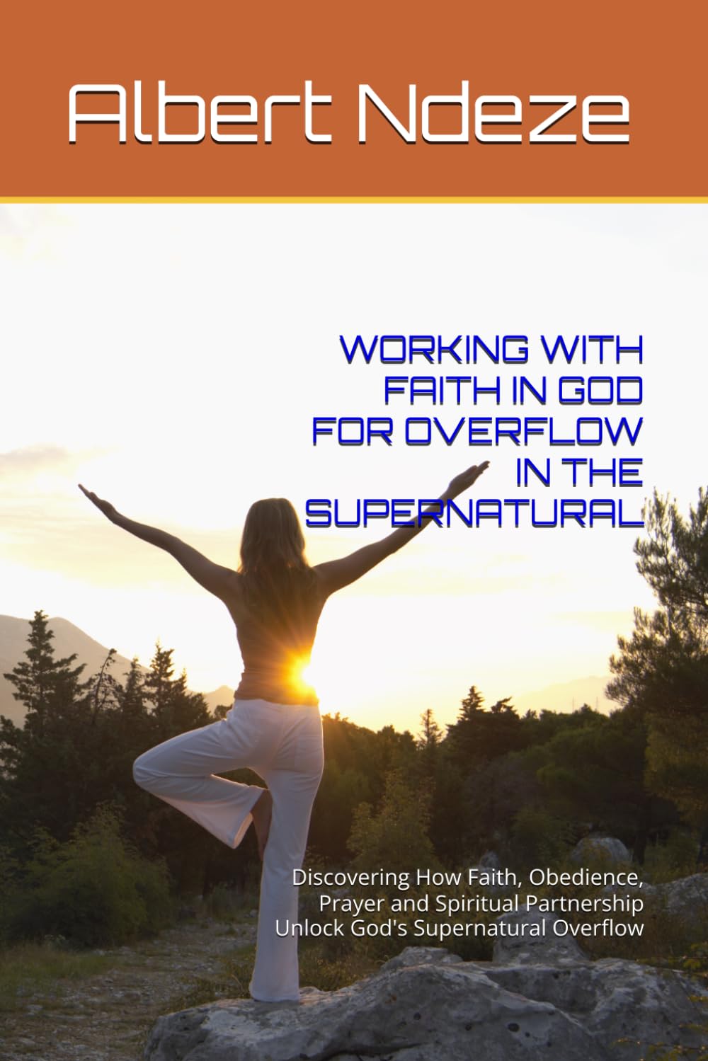 WORKING WITH FAITH IN GOD FOR OVERFLOW IN THE SUPERNATURAL: Discovering How Faith, Obedience, Prayer and Spiritual Partnership Unlock God's Supernatural Overflow (De King of Eternity Series) baixar o livro de graça