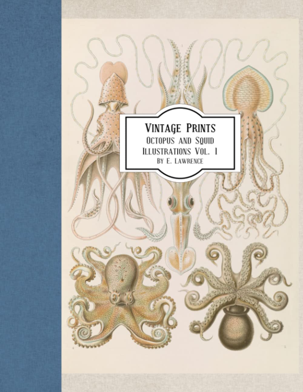 Vintage Prints: Octopus and Squid Illustrations Vol. 1 baixar livro de graça