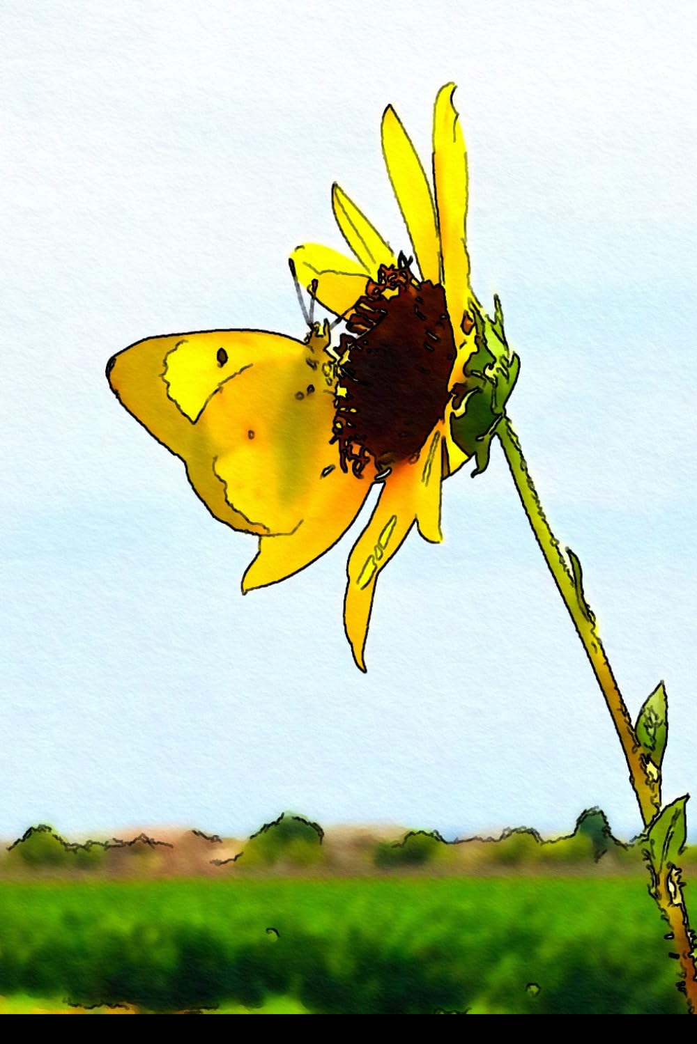 Yellow Sunflowers and Butterflies Lined Notebook baixar o livro de graça